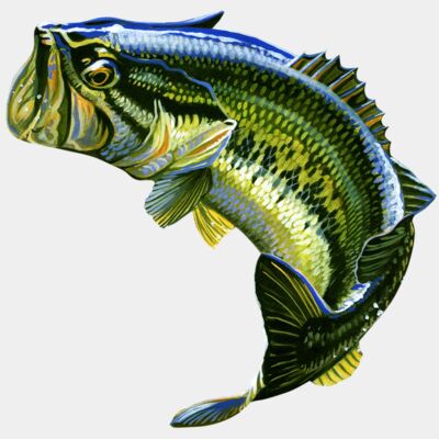 Bass Jumping Design Thumbnail