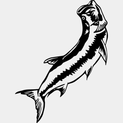 Tarpon Fish Black Design Transparent Thumbnail