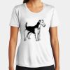 Ladies Multi Color Sublimatable PosiCharge Competitor Tee Thumbnail